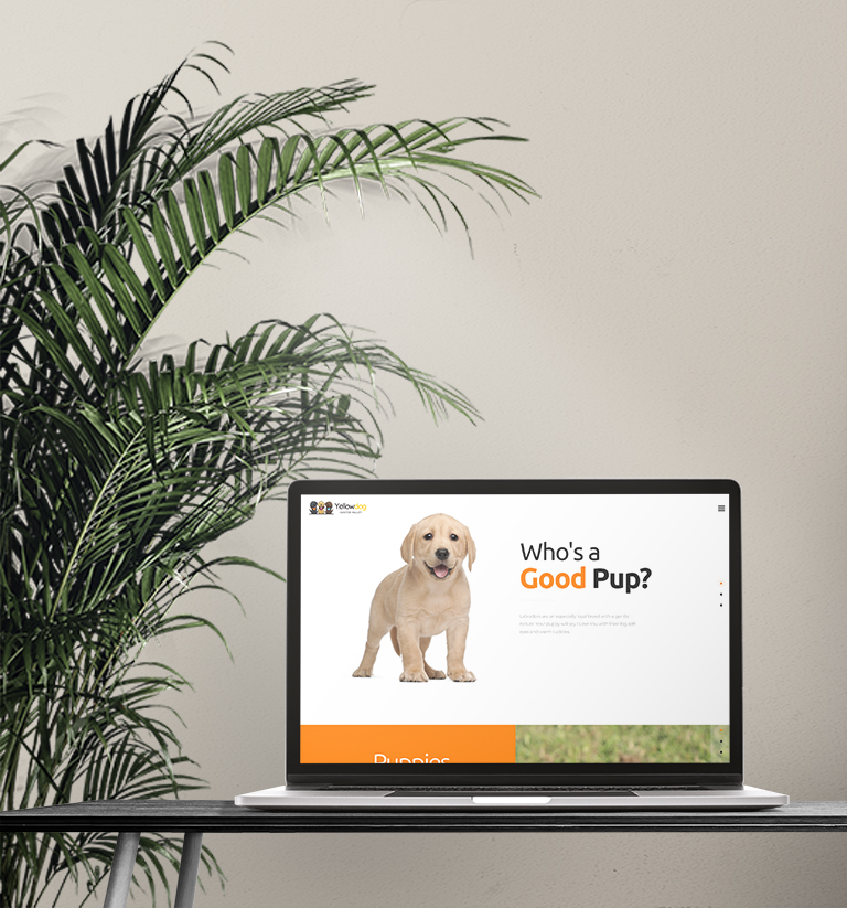 Yellow Dog Labradors Website design by Think Goat