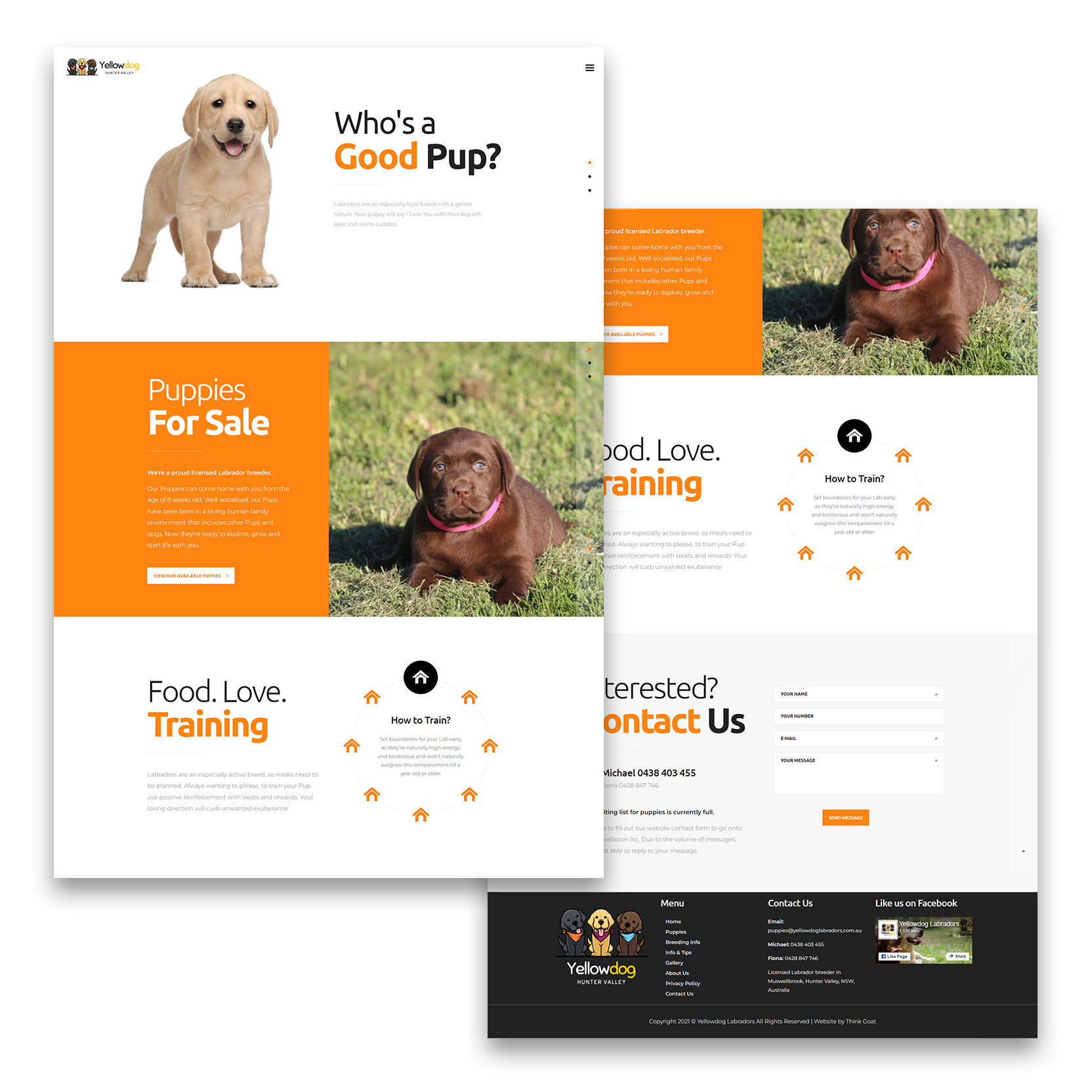 Yellow Dog Labradors Website design by Think Goat