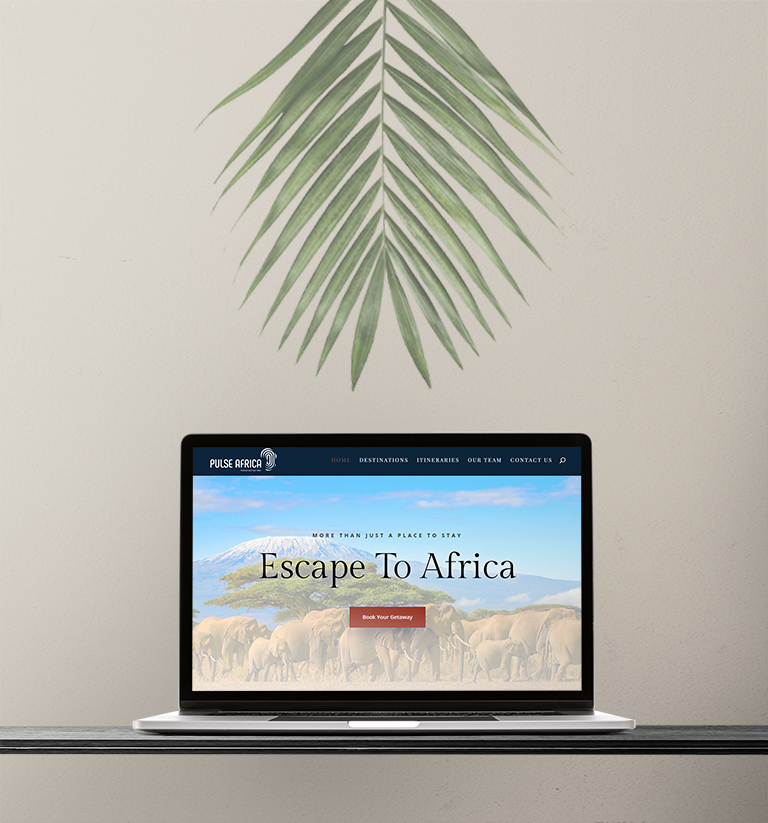 Pulse Africa Website design by Think Goat
